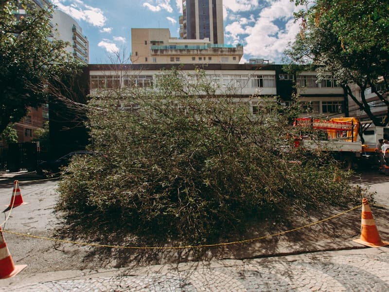 5 Tips for Efficient Construction Cleanup